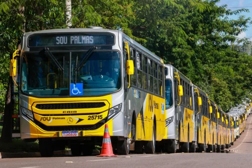 Festival Gastronômico de Taquaruçu: transporte público de Palmas terá reforço