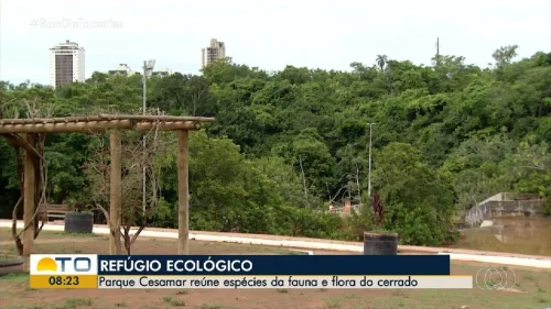 Parque Cesamar completa 26 anos como principal refúgio ecológico de Palmas