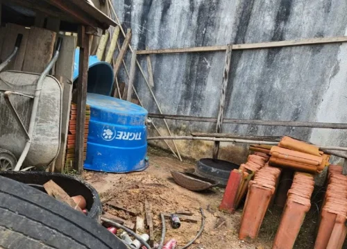 Corpo de mulher é encontrado enterrado em cova rasa no quintal de casa em Colinas