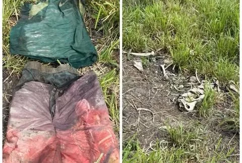 Ossada humana é encontrada em fazenda na zona rural de Colinas
