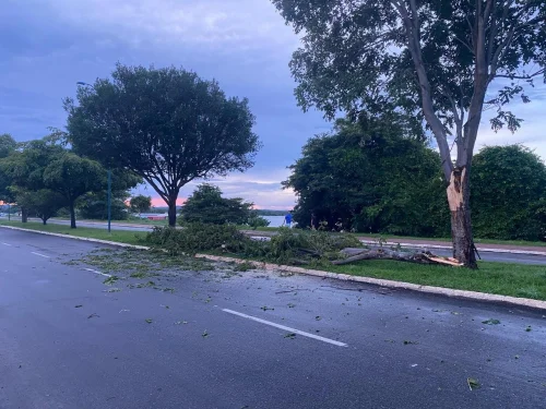 Rodoviária de Porto Nacional segue funcionando após desabamento do teto