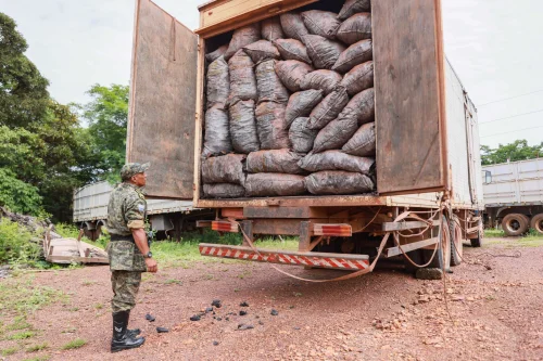 Caminhão com carga ilegal de carvão é apreendido pela Guarda Ambiental em Palmas
