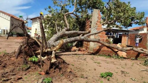 Prefeitura de Palmas decreta emergência após vendaval destruir 200 casas no Taquari