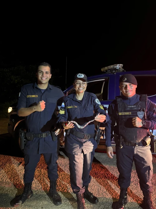 Guarda Metropolitana evita acidente com cobra na Praia da Graciosa