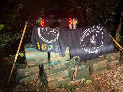 Polícia encontra 500 kg de cocaína enterrados após apreensão de avião no Tocantins