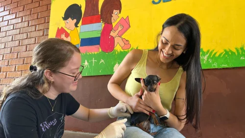 Vacinação antirrábica de cães e gatos acontece em Palmas neste sábado