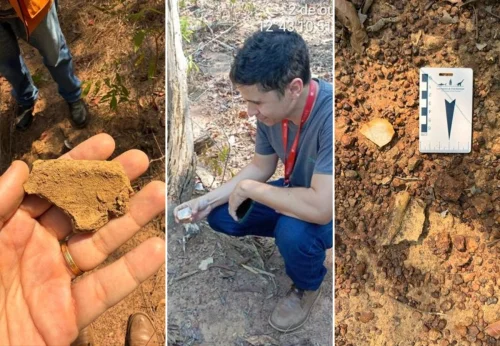 Família descobre sítio arqueológico durante construção de cerca no TO