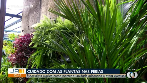 STF tem dois votos para derrubar lei sobre marco temporal de terras indígenas