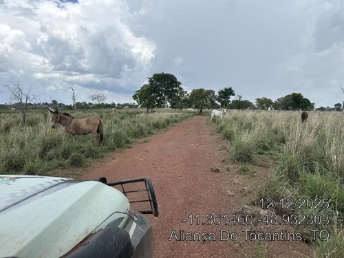 Fazendeiro é multado em mais de R$ 1,6 milhão por desmatamento no Tocantins
