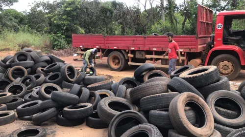 Prefeitura de Palmas recolhe mais de 100 pneus descartados irregularmente na região sul da capital