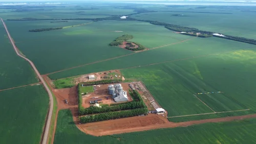 Agronegócio impulsiona PIB do Tocantins e sustenta crescimento econômico estadual