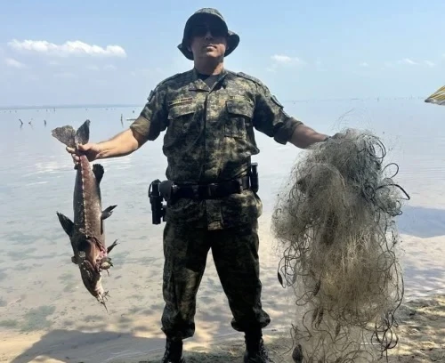 Guarda Metropolitana de Palmas intensifica fiscalização durante piracema