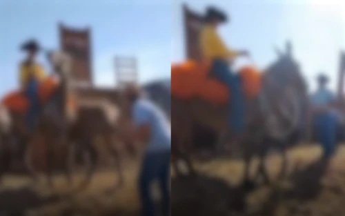 MP instaura procedimento para apurar maus-tratos a animais em cavalgadas no Bico do Papagaio