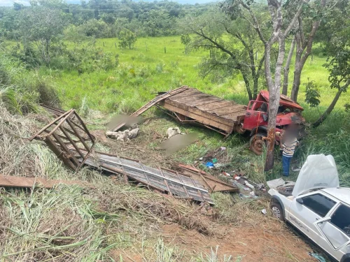 Acidente na TO-050 resulta em morte de bois e veículos tombados