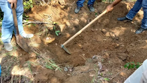 Homem acusado de feminicídio e ocultação de cadáver vai a júri popular no TO