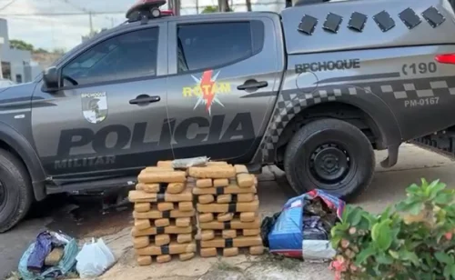 PMTO apreende 81,4 kg de maconha e supera 100 kg de drogas em dois dias em Palmas