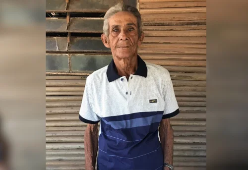 Idoso de 81 anos morre após ataque de enxame de abelhas no Tocantins