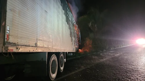 Motorista morre carbonizado após caminhão sair da pista e pegar fogo na BR-230