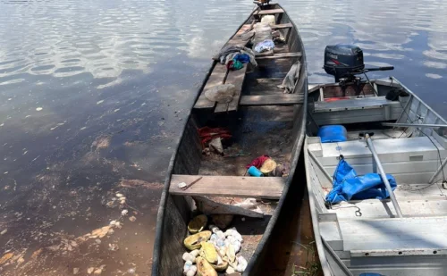 Polícia resgata 3 mil filhotes de tartaruga-da-Amazônia no Tocantins