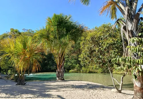 Praia do Pequizeiro no TO vira destino de sossego com águas cristalinas e areia branca