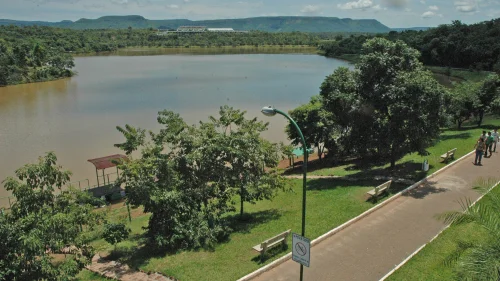 Investigação sobre a morte de macaco no Parque Cesamar gera alerta de febre amarela em Palmas