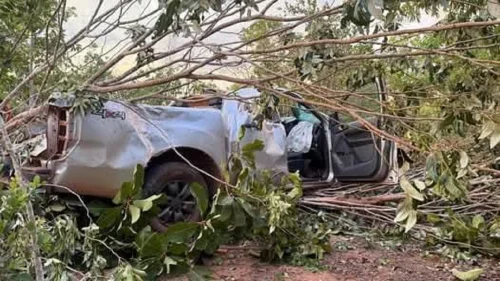 Homem de 59 anos morre após caminhonete capotar na rodovia TO-130