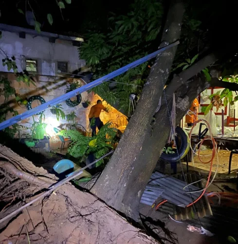 Temporal causa estragos e queda de energia em bairro de Palmas