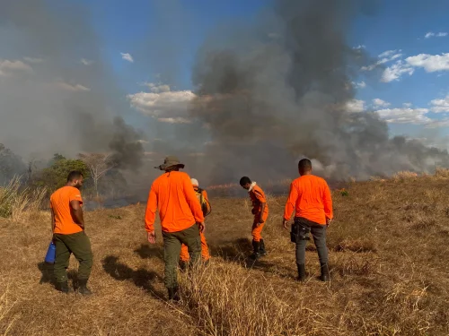 Incêndio de grandes proporções atinge Vila Agrotins e mobiliza Defesa Civil de Palmas
