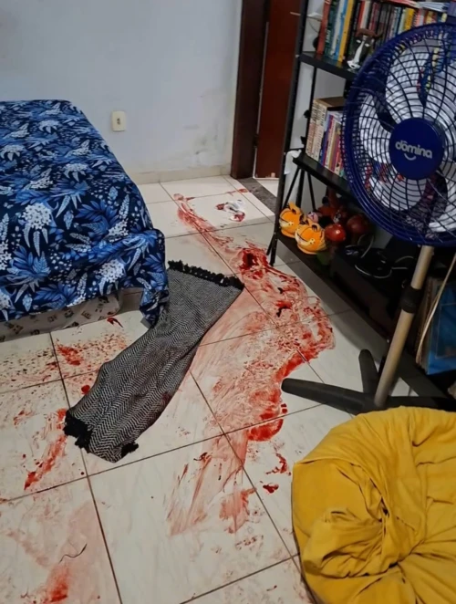 Guarda Metropolitana de Palmas evita feminicídio e prende autor em flagrante na 1103 Sul