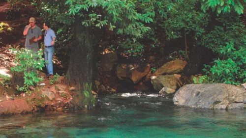 Justiça determina que Prefeitura de Aurora e Naturatins recuperem áreas degradadas no Tocantins