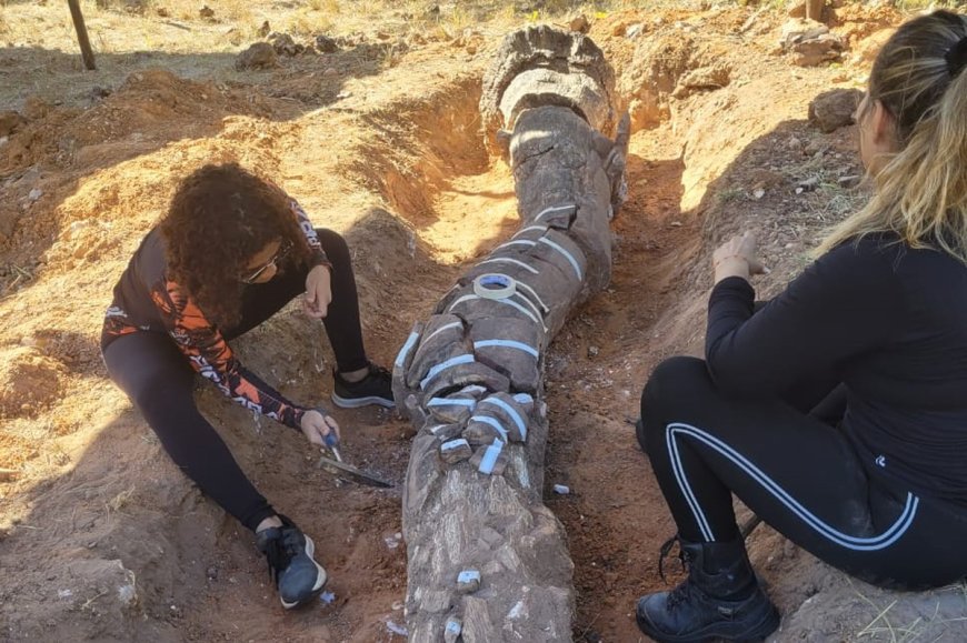 Pesquisa avalia impactos das atividades humanas no Monumento Árvores Fossilizadas do Tocantins