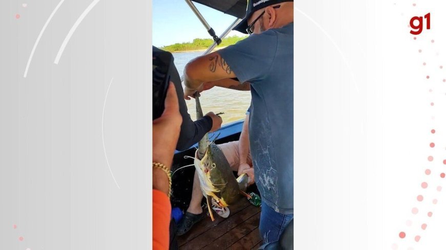 Peixe é salvo por pescadores após tentar devorar iguana no Rio Araguaia.