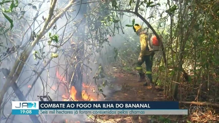 Incêndio florestal ameaça fauna e flora da Ilha do Bananal