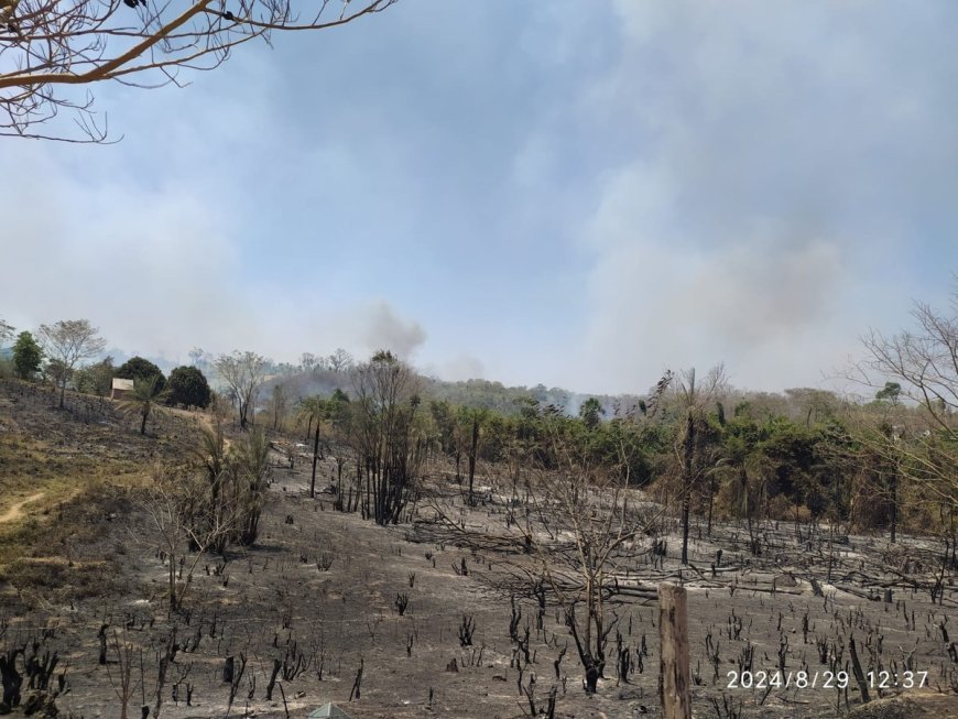 Incêndio devastador em Centenário: Prefeitura decreta calamidade pública