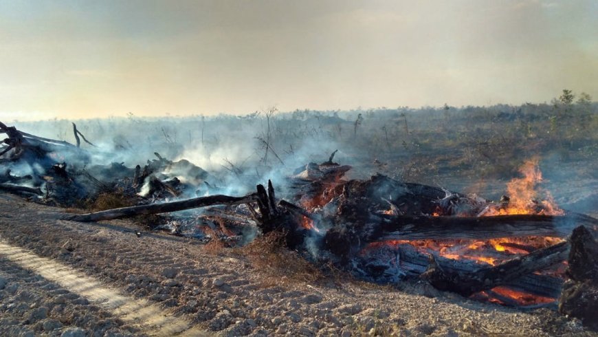 Aumento alarmante de queimadas no Tocantins em 2024: Estado de calamidade em Centenário