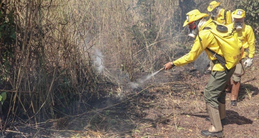 Governo do Tocantins anuncia repasse de R$ 1 milhão para contratação de brigadistas