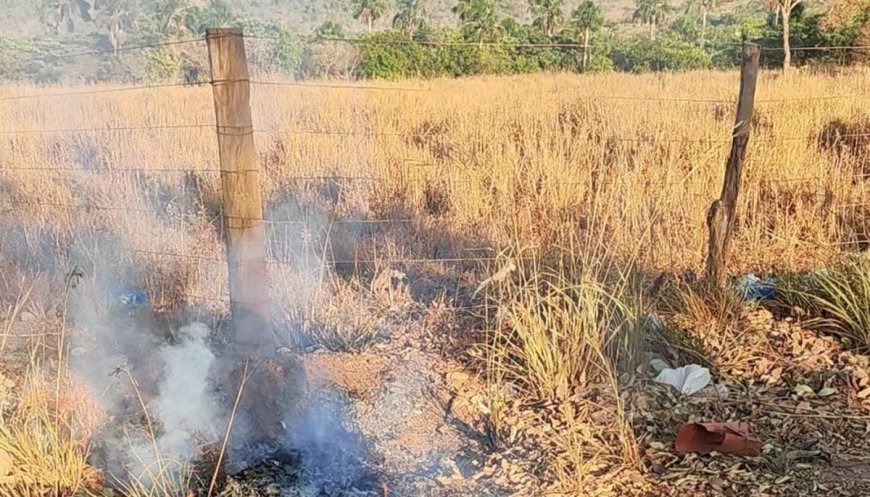 Homem é preso suspeito de provocar incêndio na zona rural de Palmas, à beira da BR-010.