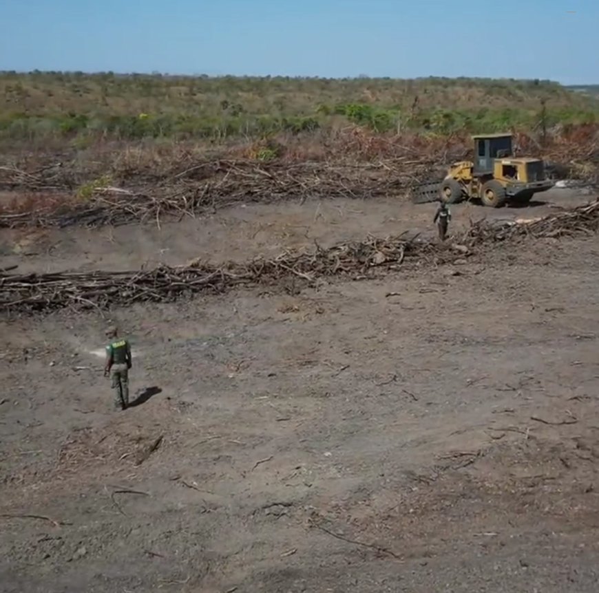 Ibama aplica R$ 25 milhões em multas por desmatamento ilegal no Tocantins