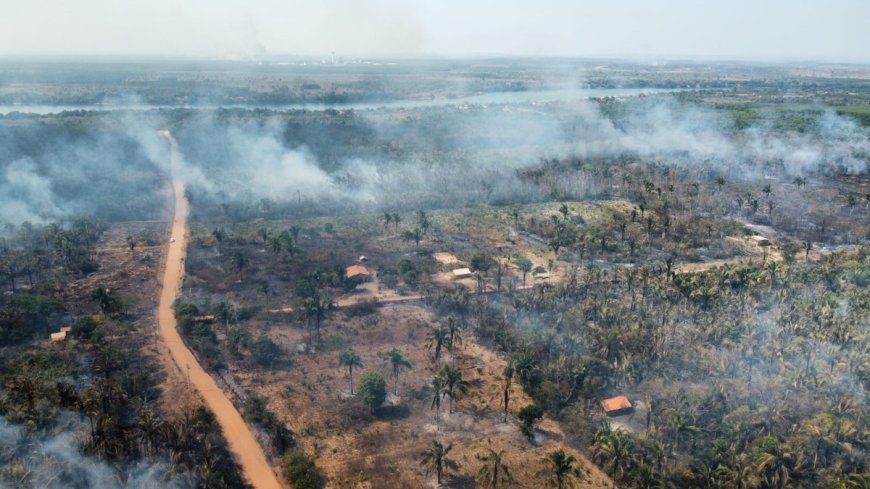 Governo do Tocantins contrata brigadistas para combate a incêndios.