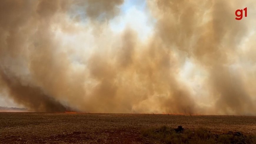 Homem morre após tentar apagar incêndio em zona rural de Palmas