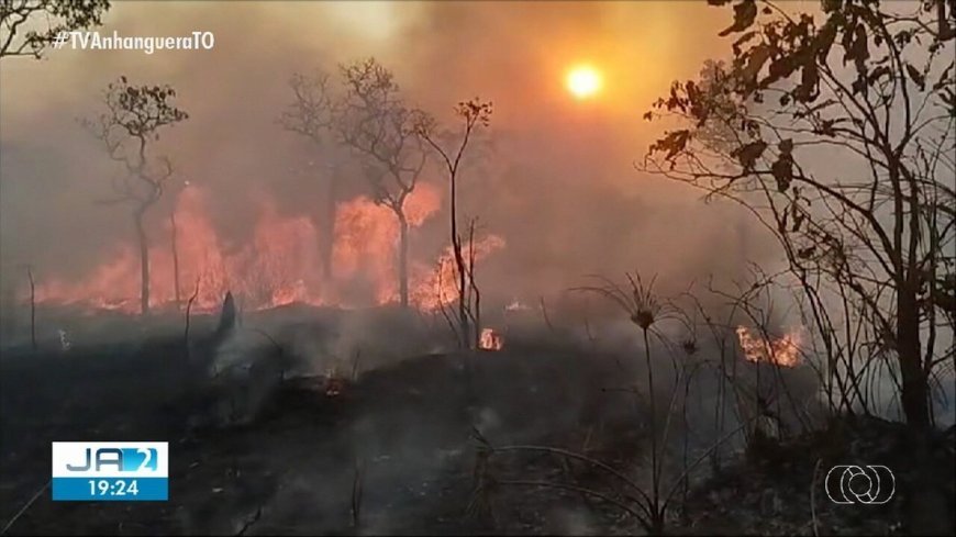 Incêndios na Ilha do Bananal: Combate e Desafios