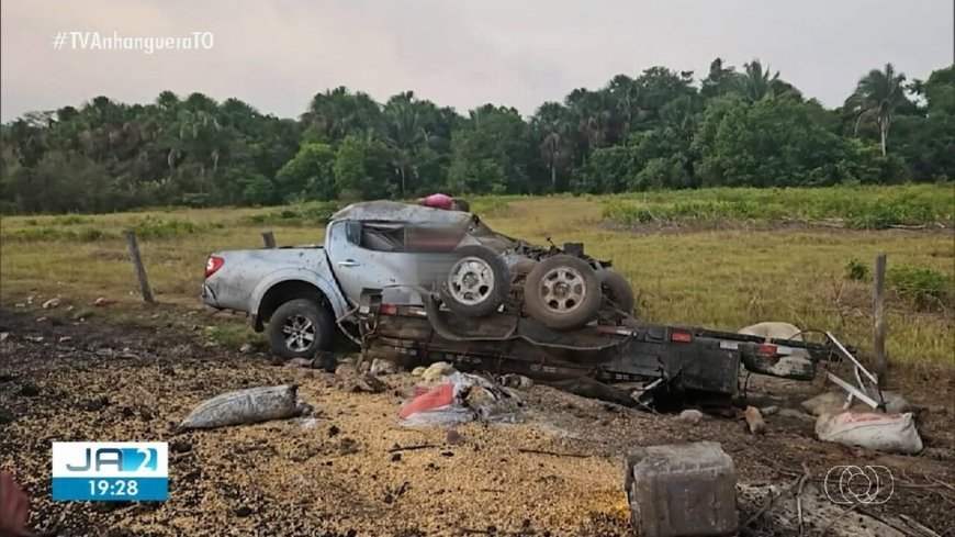 Aumento alarmante de acidentes com animais nas rodovias do Tocantins preocupa autoridades e motoristas.