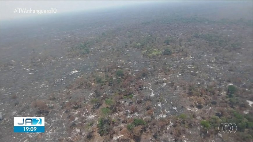 Combate a Incêndios na Ilha do Bananal: A Situação Atual e os Desafios enfrentados.