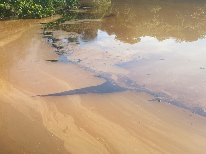 Córrego e lago do Parque Cesamar são atingidos por derramamento de óleo