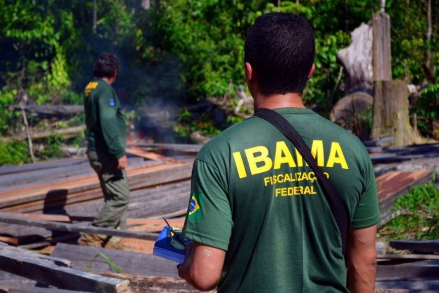 Concurso público do Ibama no Tocantins: 59 vagas com salário inicial de R$ 9,9 mil